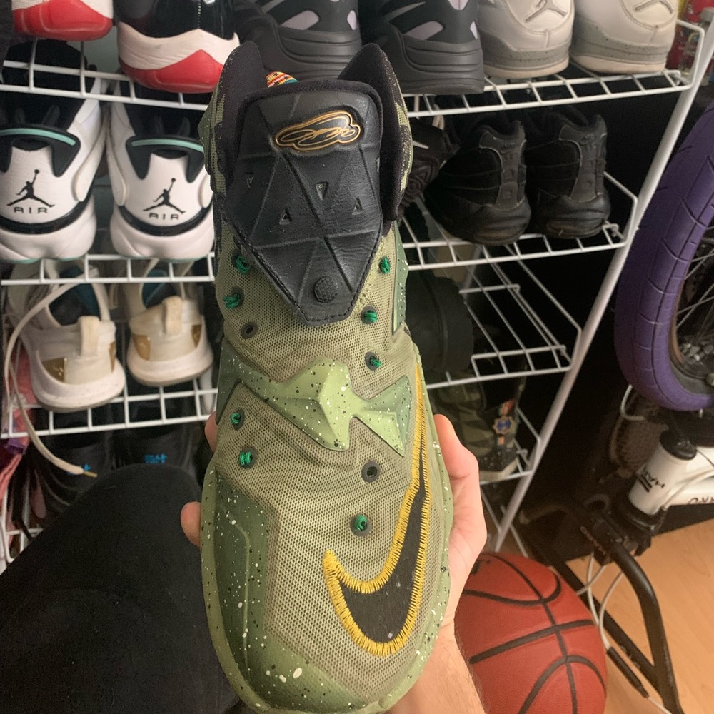 Lebron James shoes